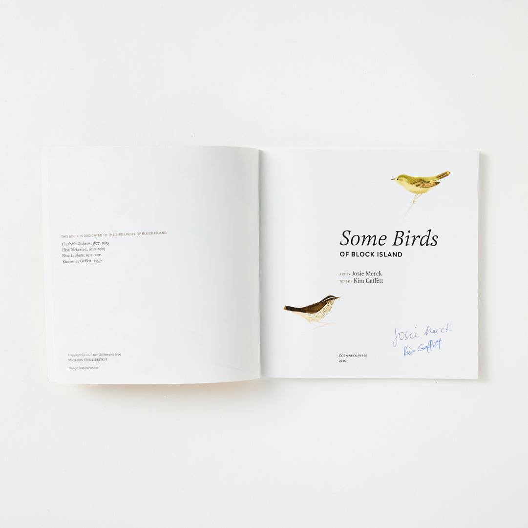 Josie Merck and Kim Gaffett, Some Birds of Block Island – Tori