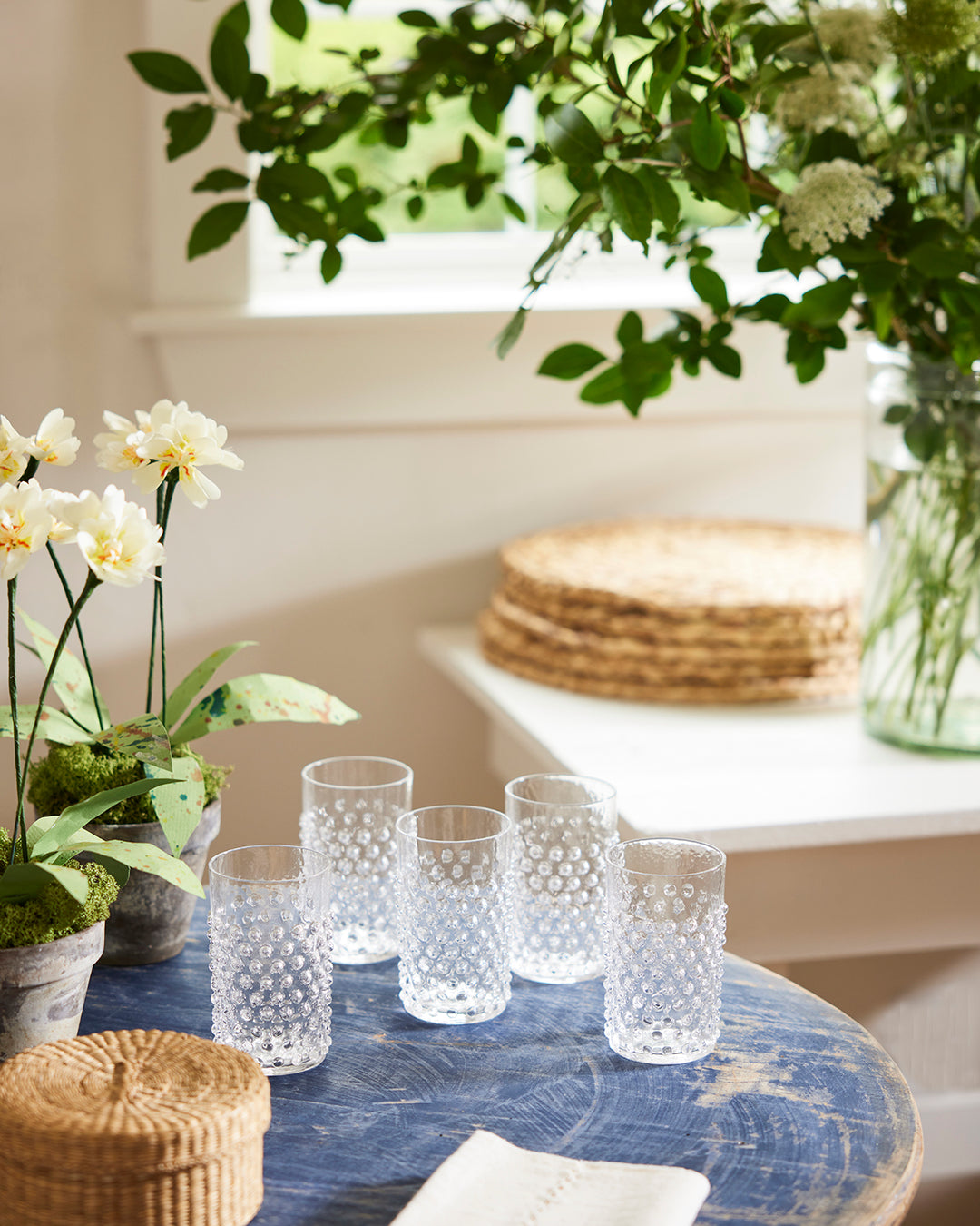 Potted Paper Primula