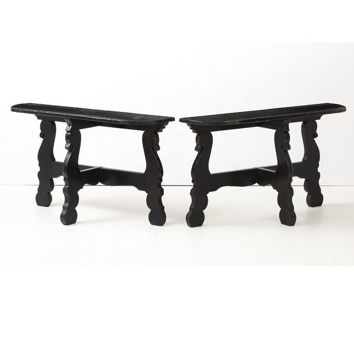 Pair of Antique French Ebony Consoles