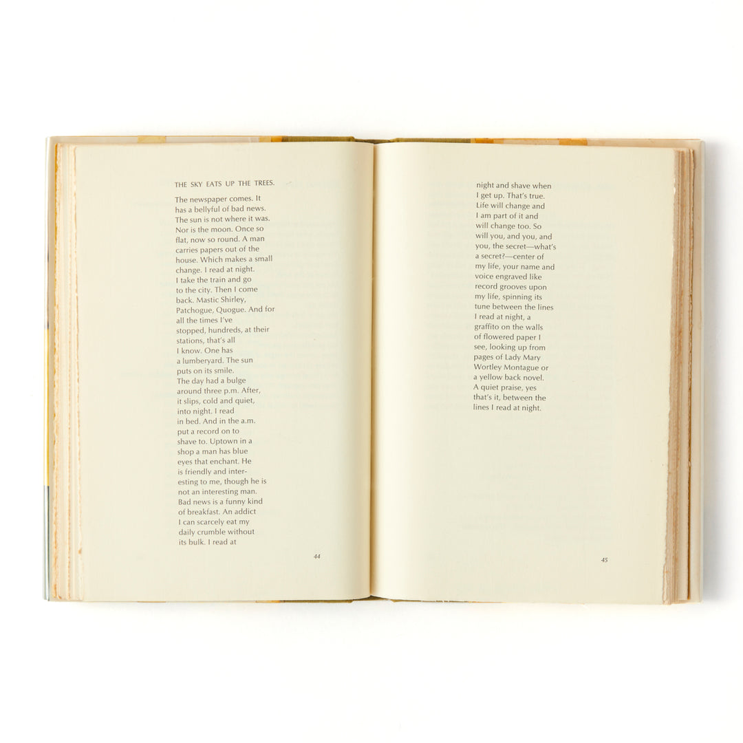 James Schuyler, Hymn to Life, Cover by Fairfield Porter