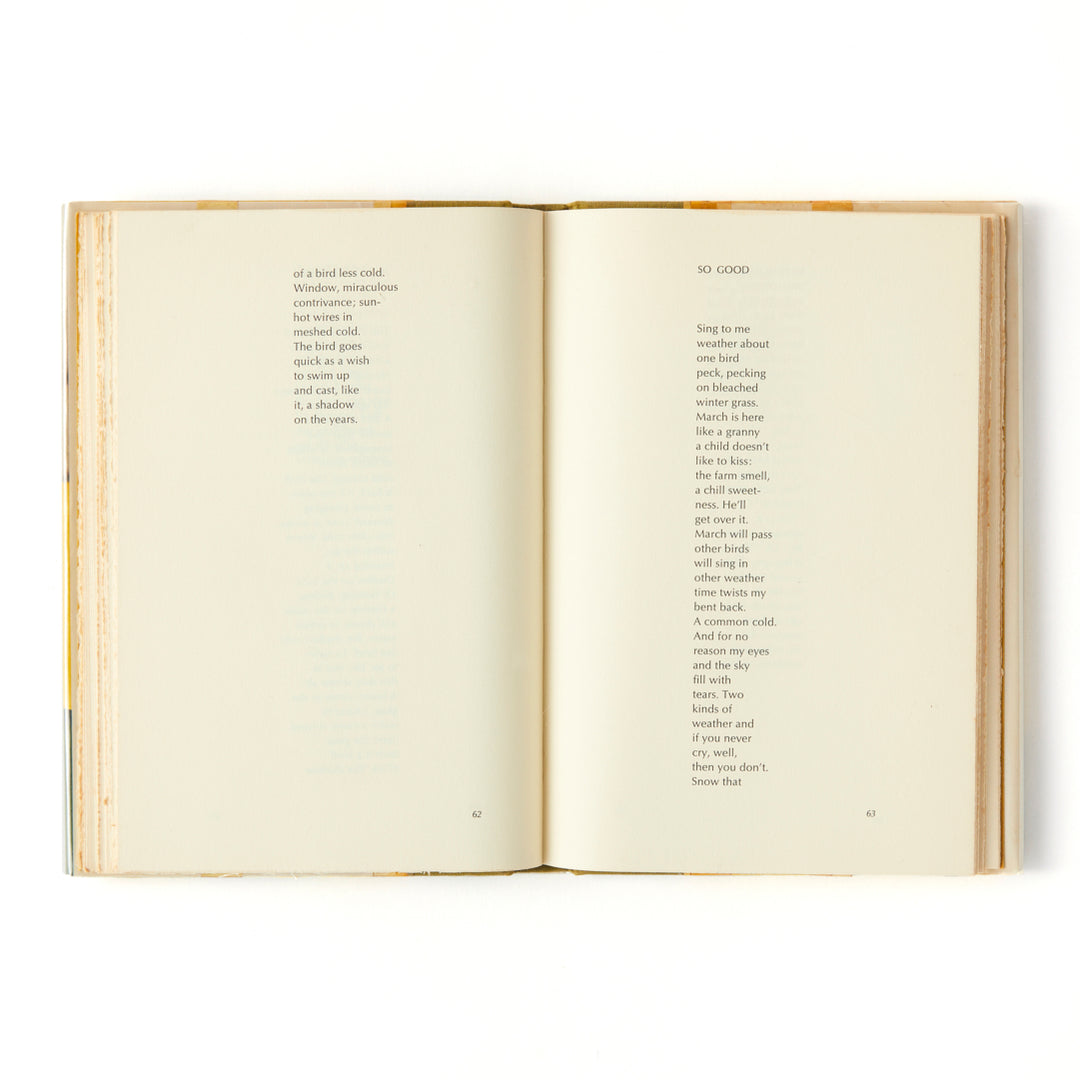 James Schuyler, Hymn to Life, Cover by Fairfield Porter