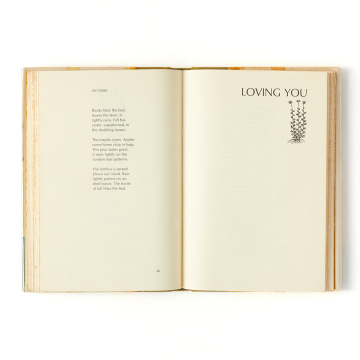 James Schuyler, Hymn to Life, Cover by Fairfield Porter