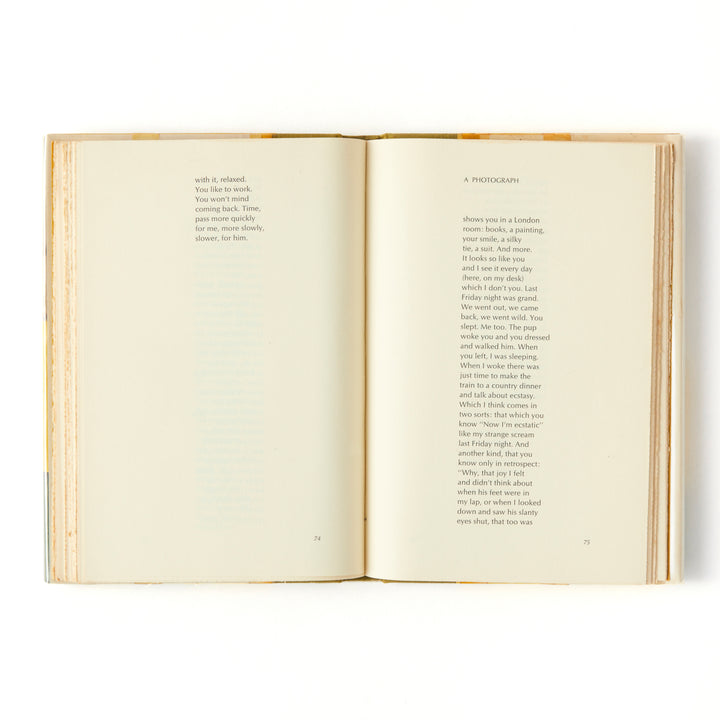 James Schuyler, Hymn to Life, Cover by Fairfield Porter