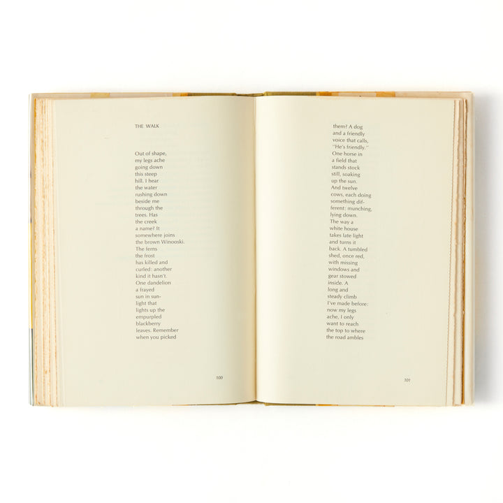 James Schuyler, Hymn to Life, Cover by Fairfield Porter