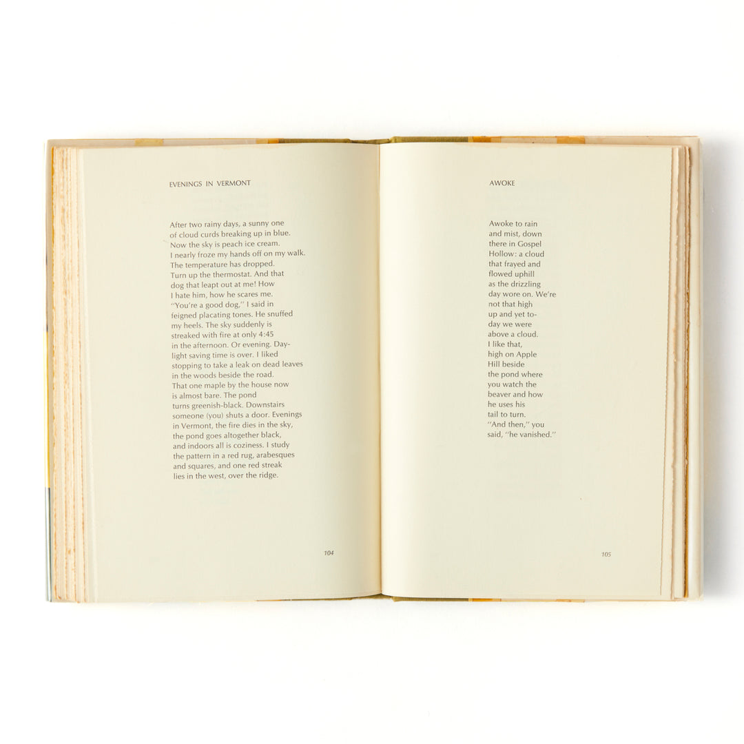 James Schuyler, Hymn to Life, Cover by Fairfield Porter