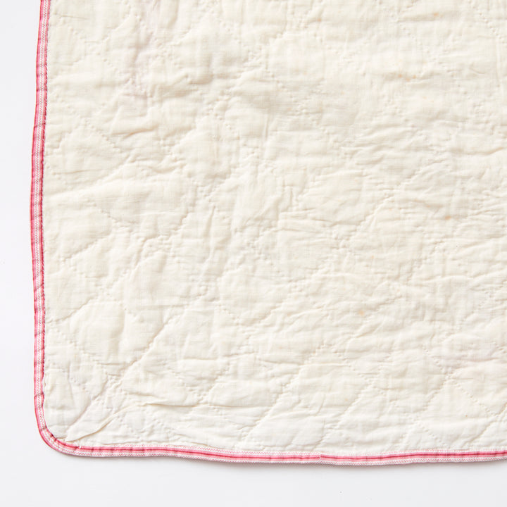 Antique Album of Pinks Quilt, circa 1870