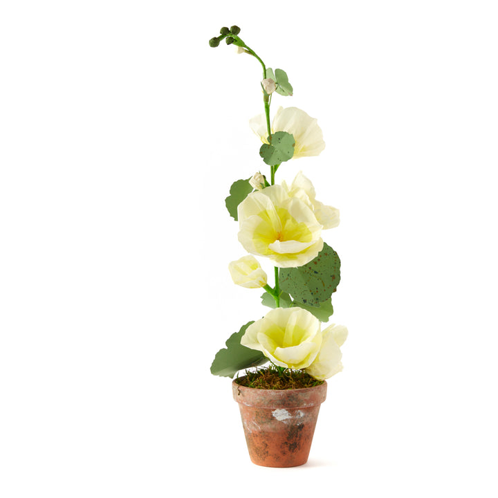 Potted Paper Hollyhock in Yellow