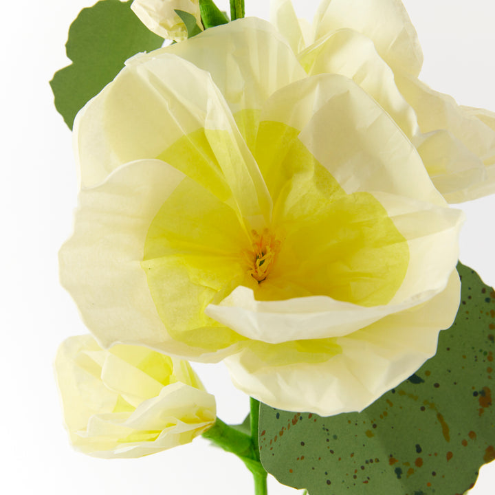 Potted Paper Hollyhock in Yellow