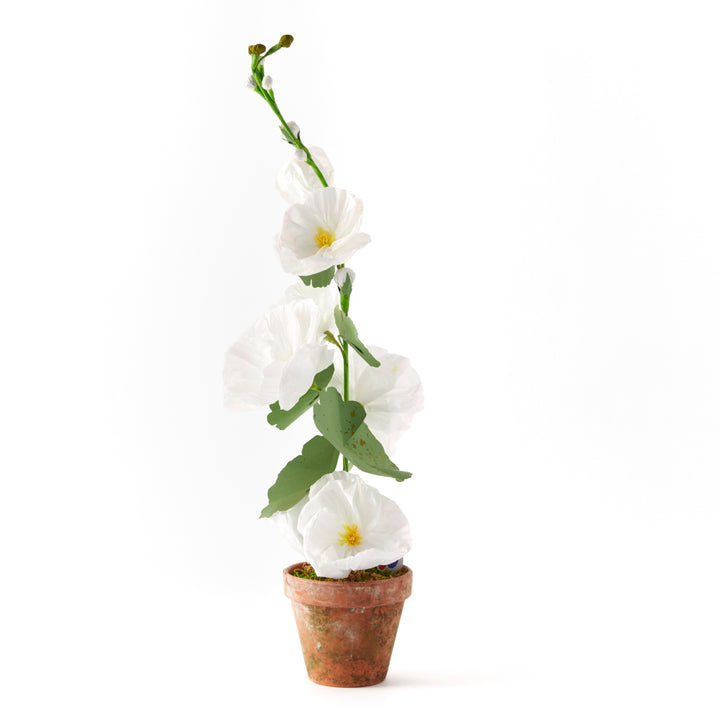Potted Paper Hollyhock in White