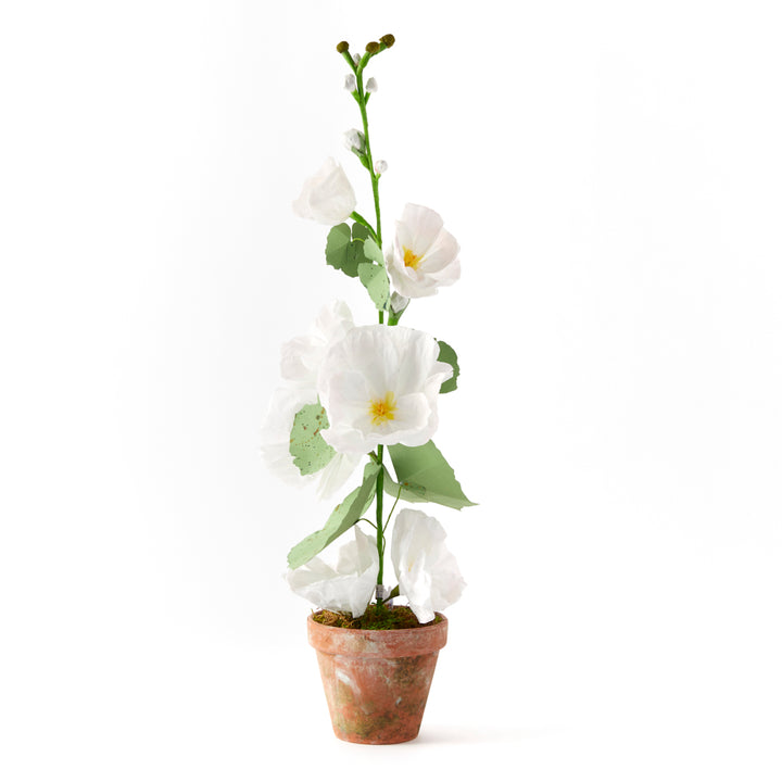 Potted Paper Hollyhock in White