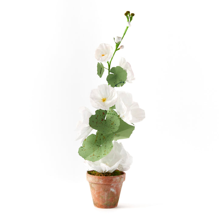 Potted Paper Hollyhock in White