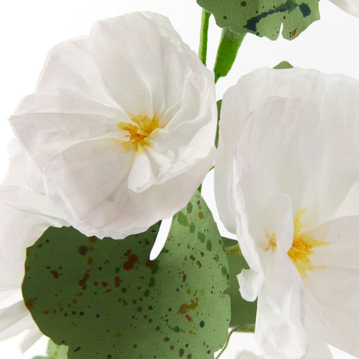Potted Paper Hollyhock in White
