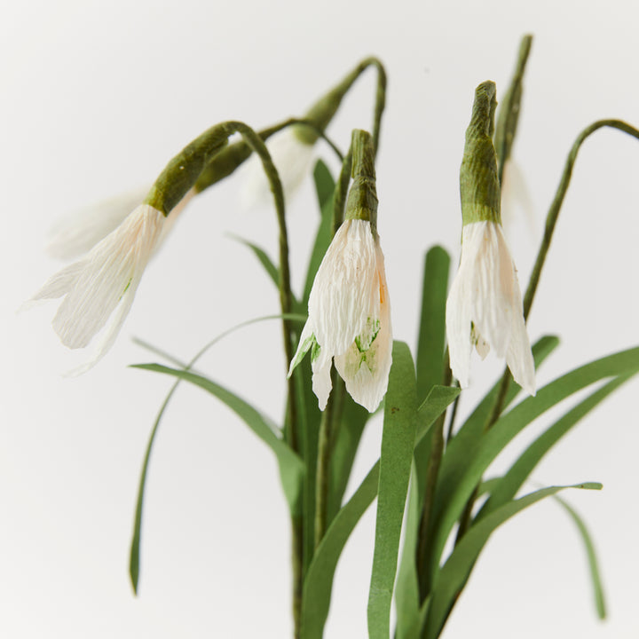 Potted Paper Snowdrops