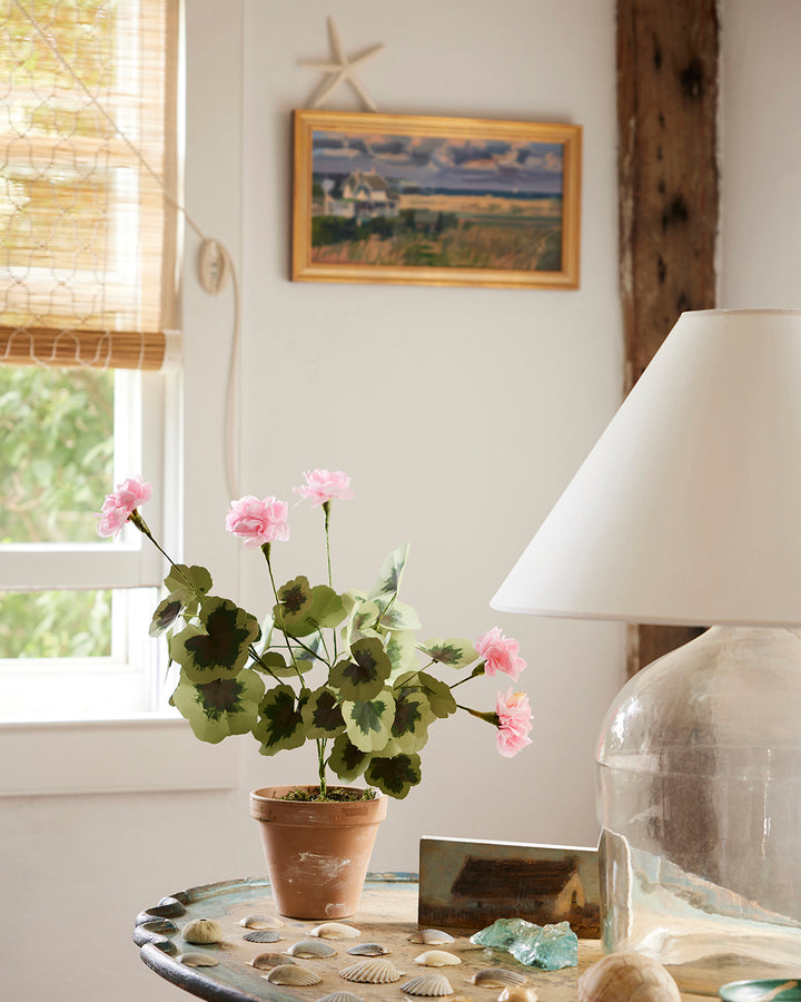 Potted Paper Geranium in Red