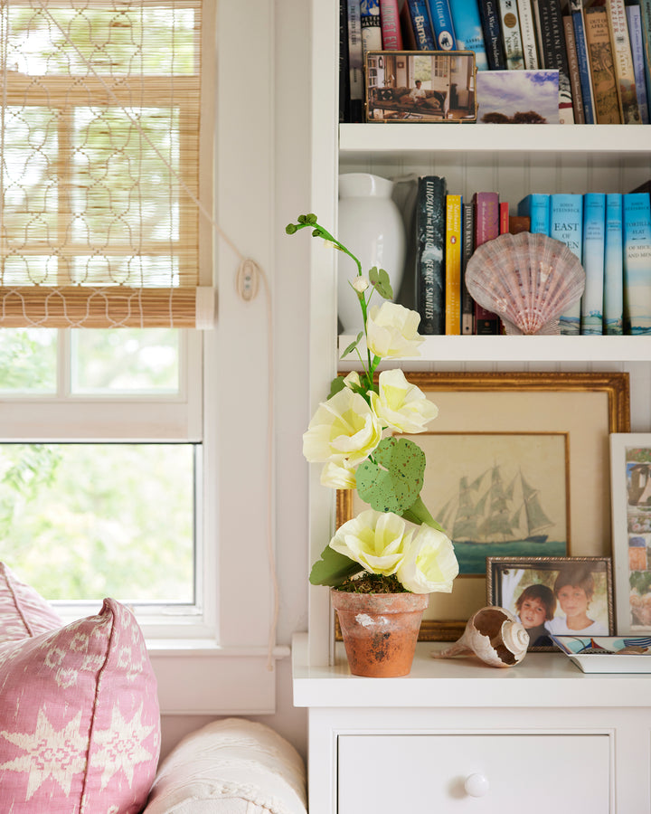 Potted Paper Hollyhock in Yellow