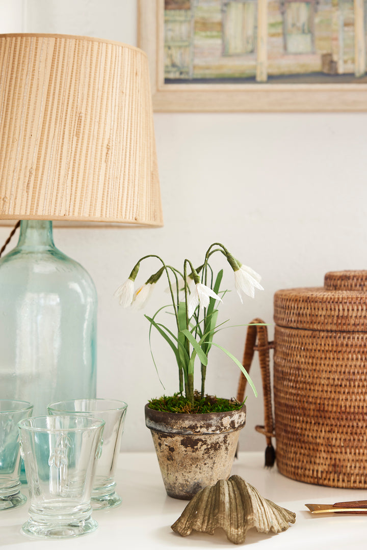 Potted Paper Snowdrops