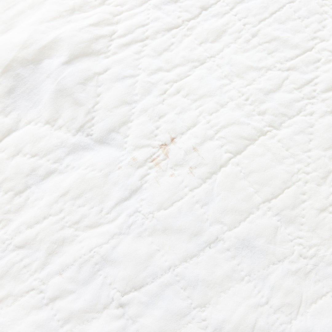 Antique Lady of the Lake Quilt, c. 1910