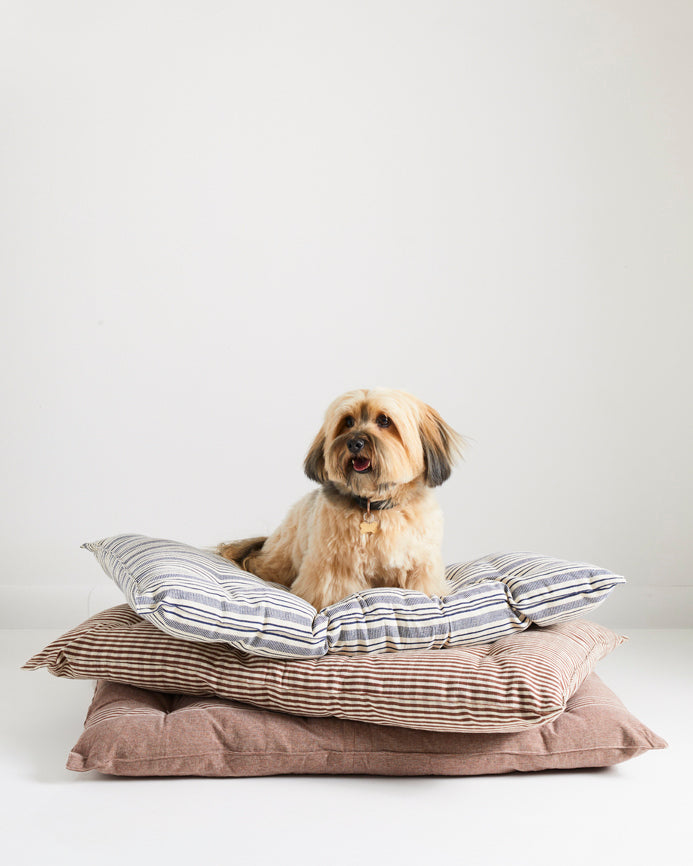 Dog Bed in Brown and White Stripe