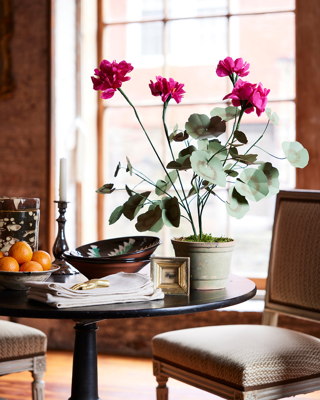 Potted Paper Geranium in Dark Pink