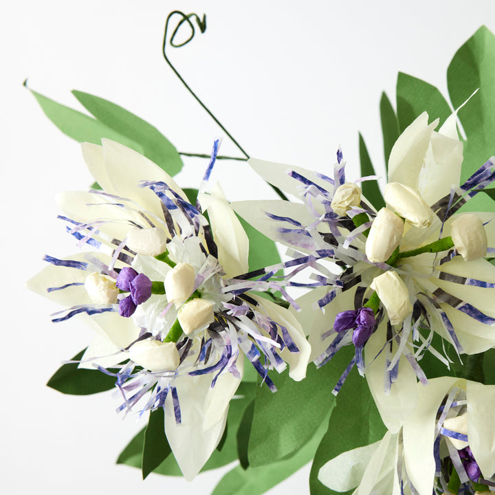Potted Paper Passion Flower