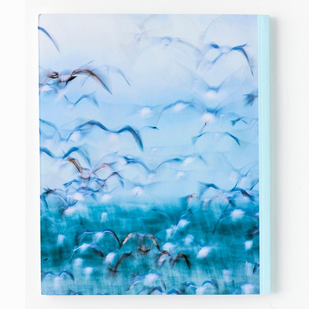 The Surfer’s Journal, Volume 33 No. 1