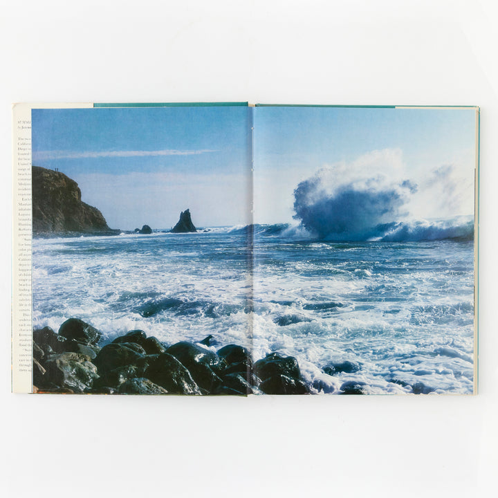 Jeffrey Stanton, Summer Is Forever