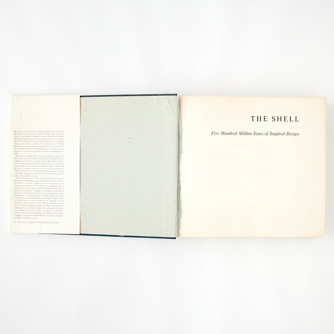 The Shell: 500 Million Years of Inspired Design