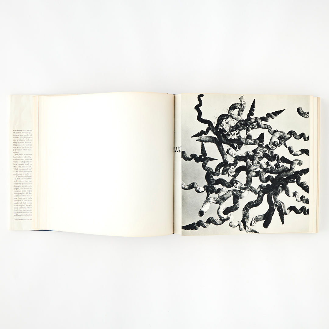 The Shell: 500 Million Years of Inspired Design