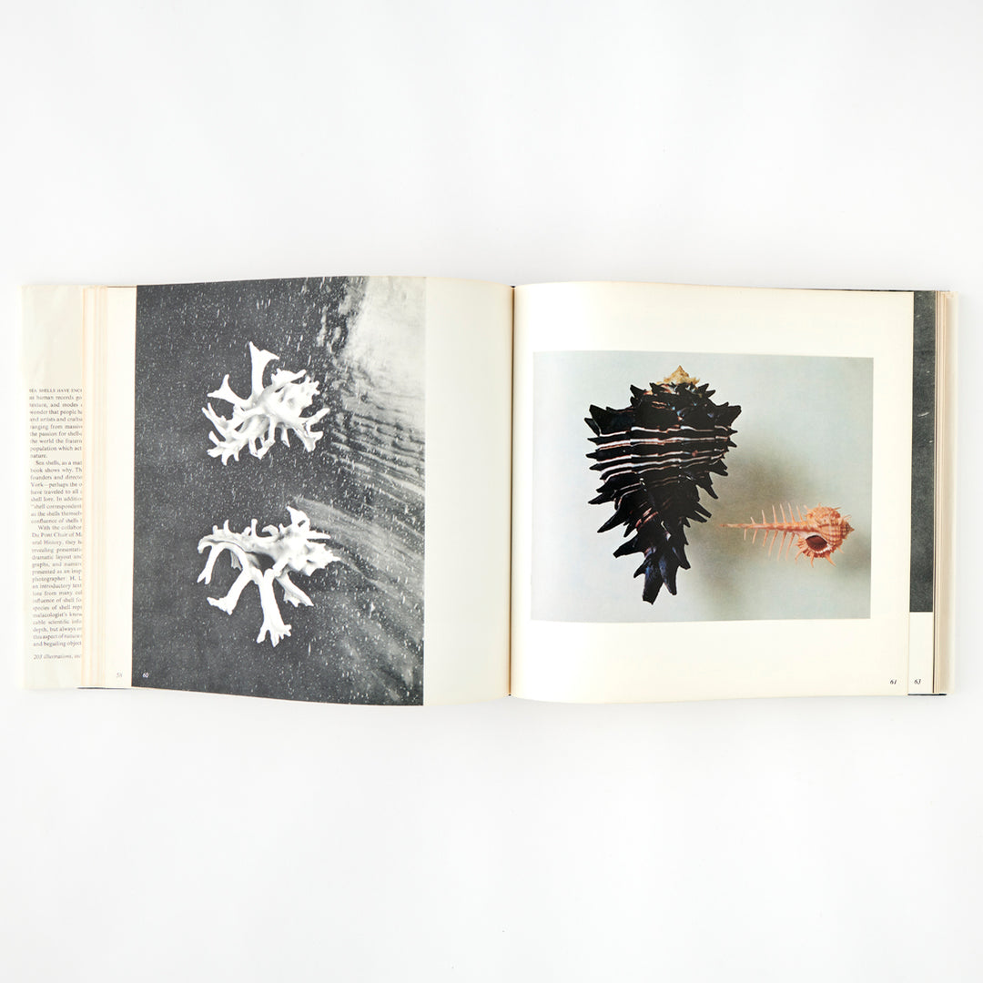 The Shell: 500 Million Years of Inspired Design