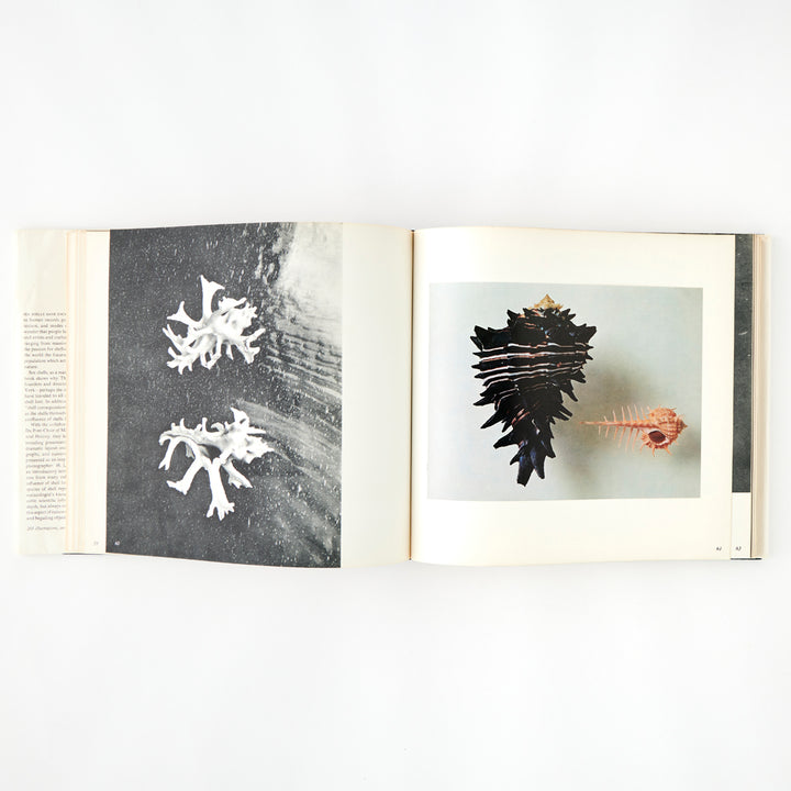 The Shell: 500 Million Years of Inspired Design