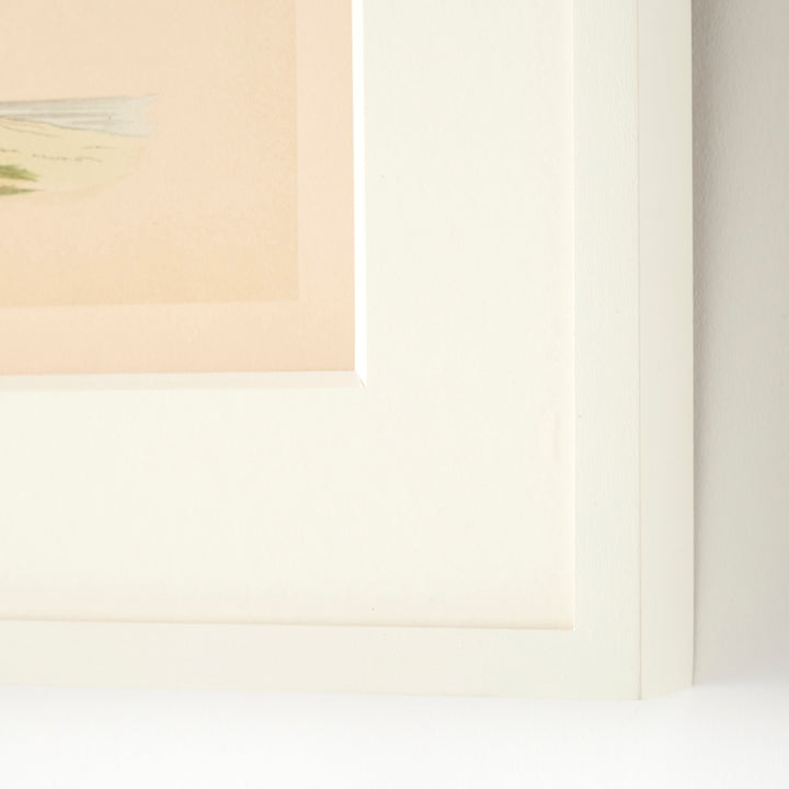 Set of 8 Framed Vintage Shore Bird Prints