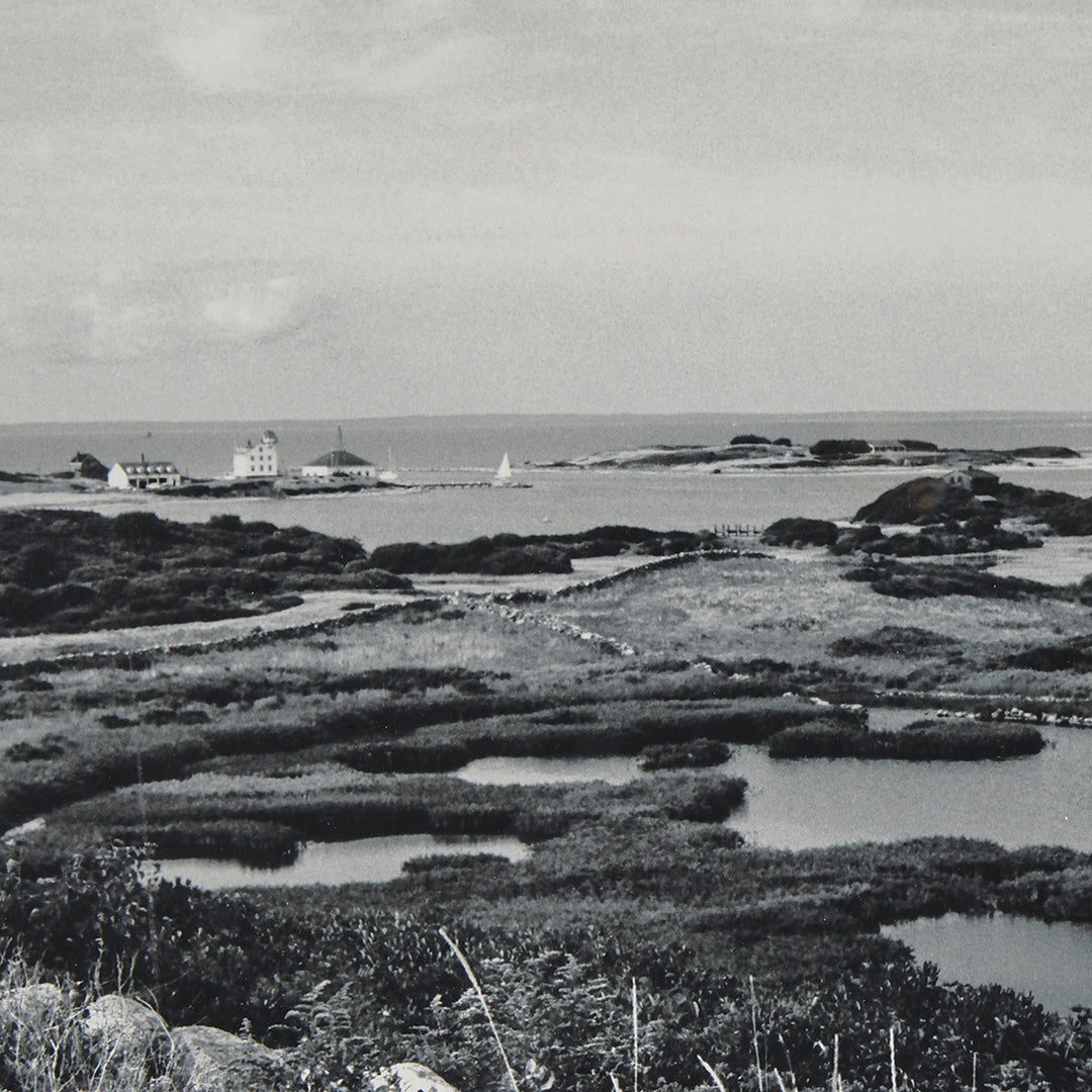 Klaus Gemming, Cormorant Cove