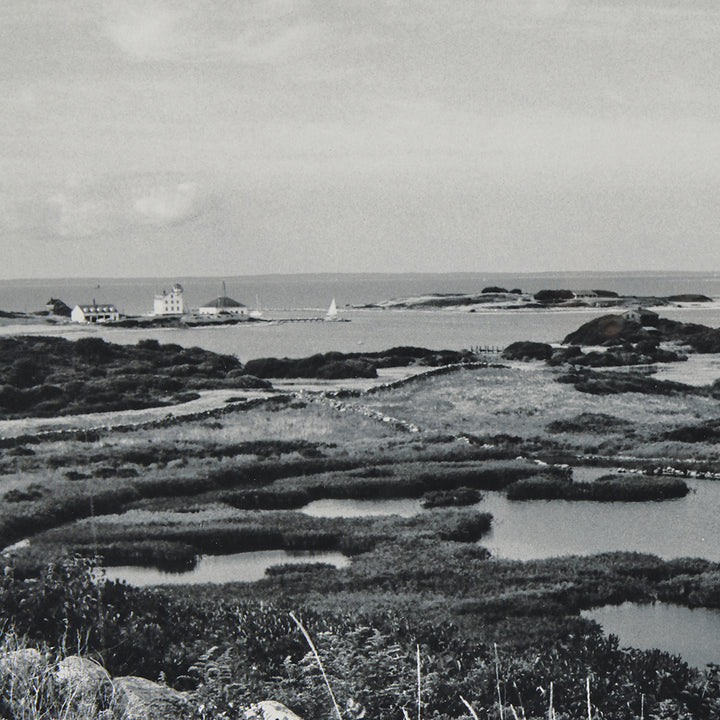 Klaus Gemming, Cormorant Cove