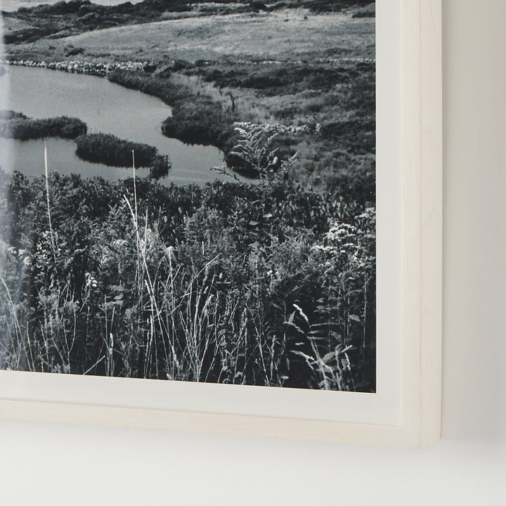Klaus Gemming, Cormorant Cove