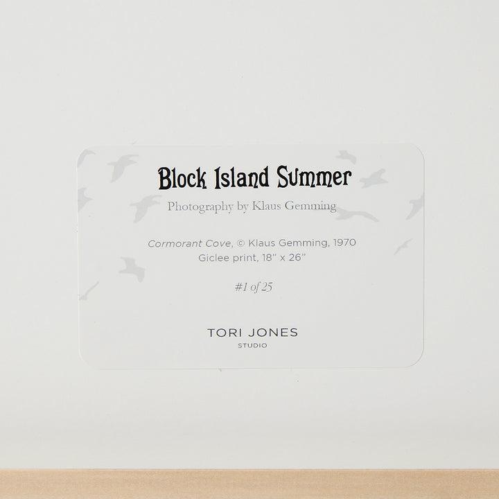 Klaus Gemming, Cormorant Cove