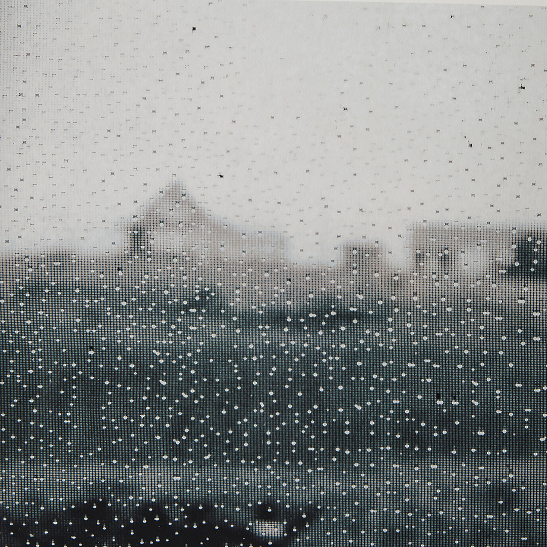 Klaus Gemming, Raindrops on a Window Screen