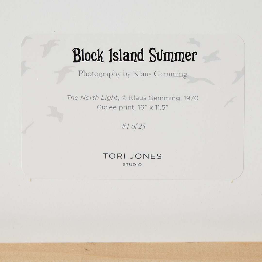Klaus Gemming, The North Light