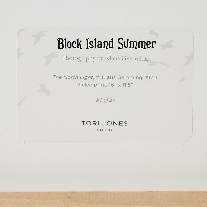 Klaus Gemming, The North Light