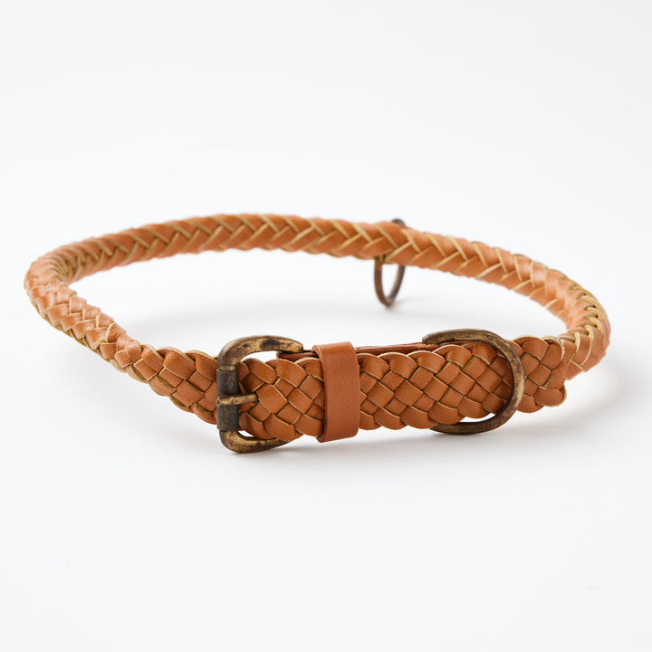 Tonto Pet Collar in Tan