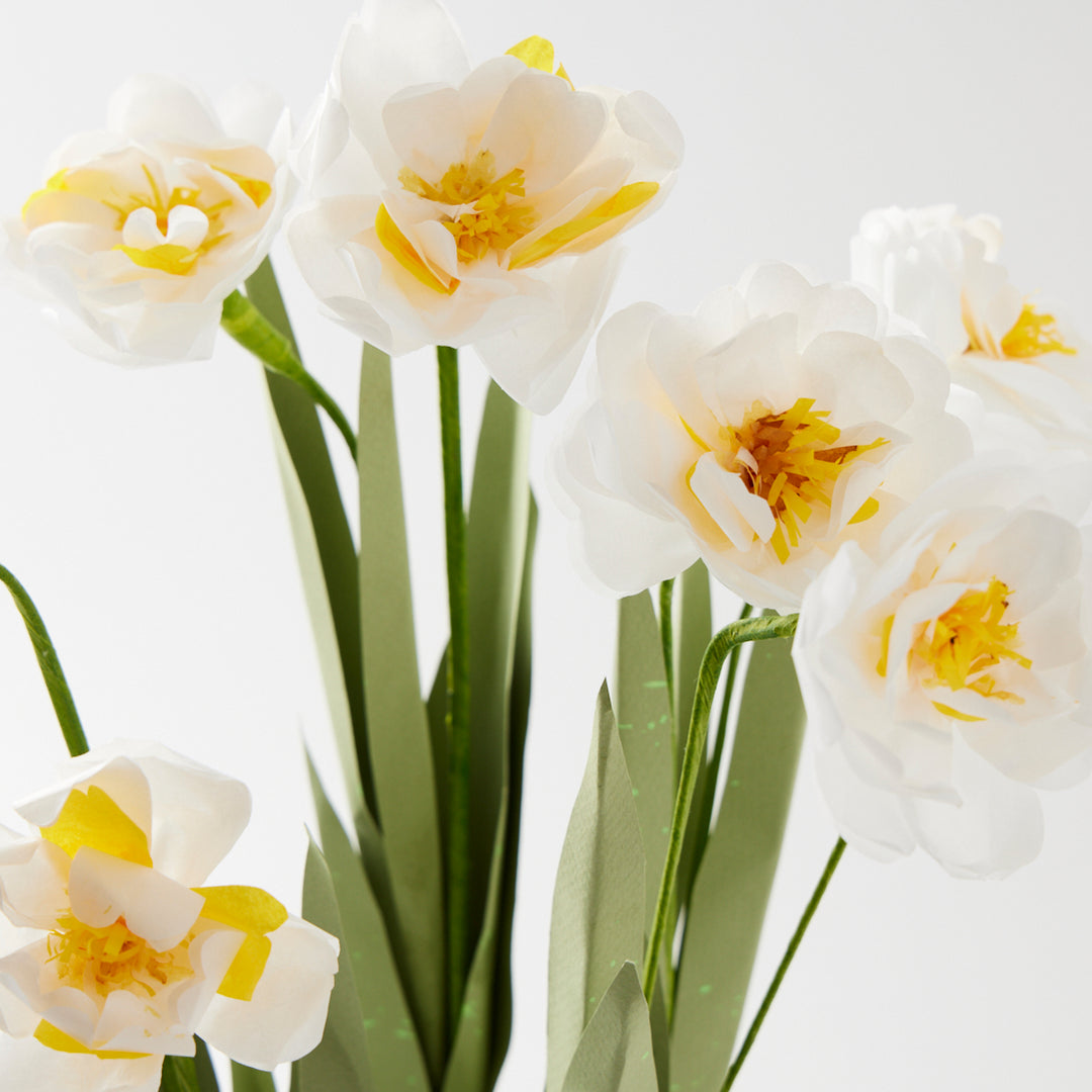 Potted Paper Narcissus
