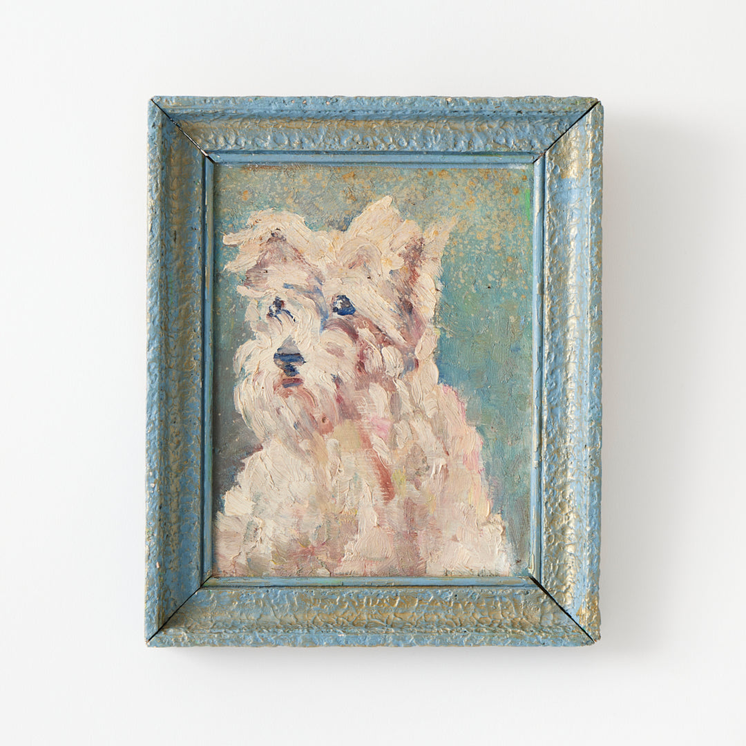 Vintage French Terrier Portrait
