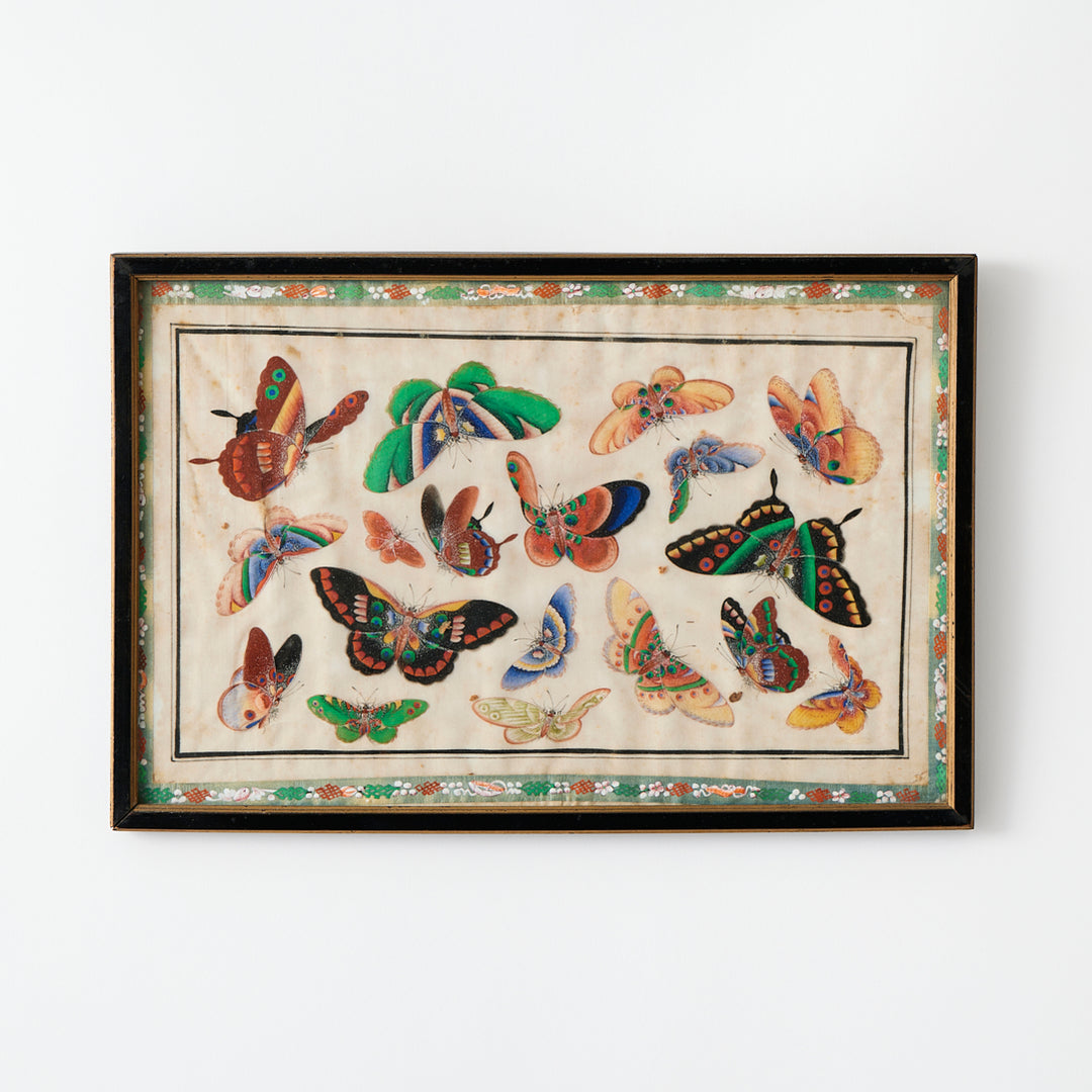 Antique Watercolor Butterfly Study, 19th Century