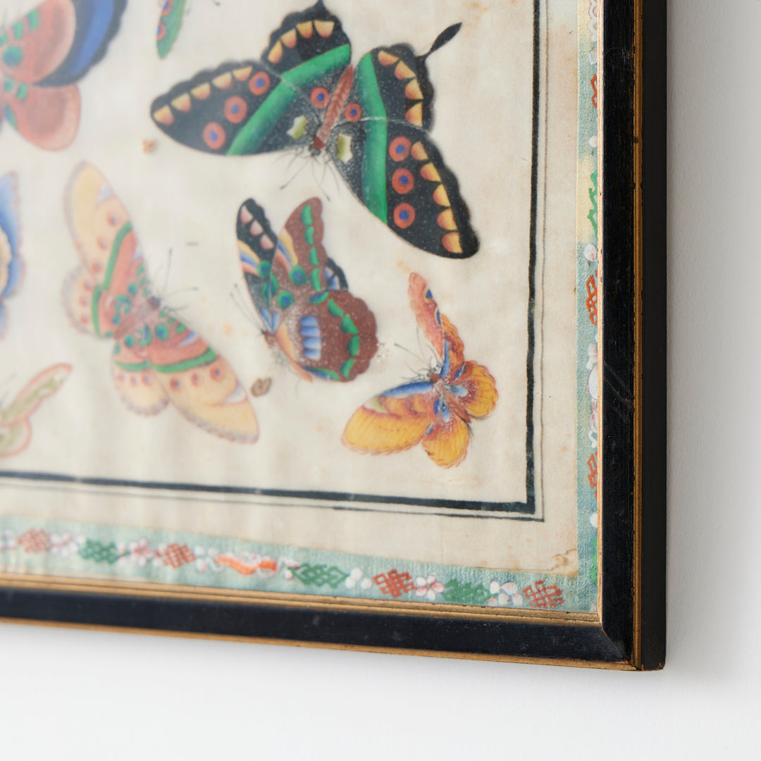 Antique Watercolor Butterfly Study, 19th Century