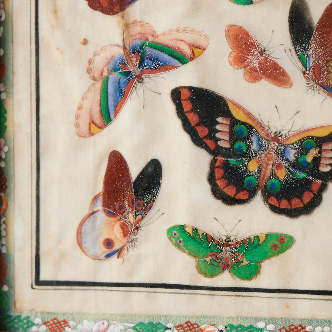 Antique Watercolor Butterfly Study, 19th Century