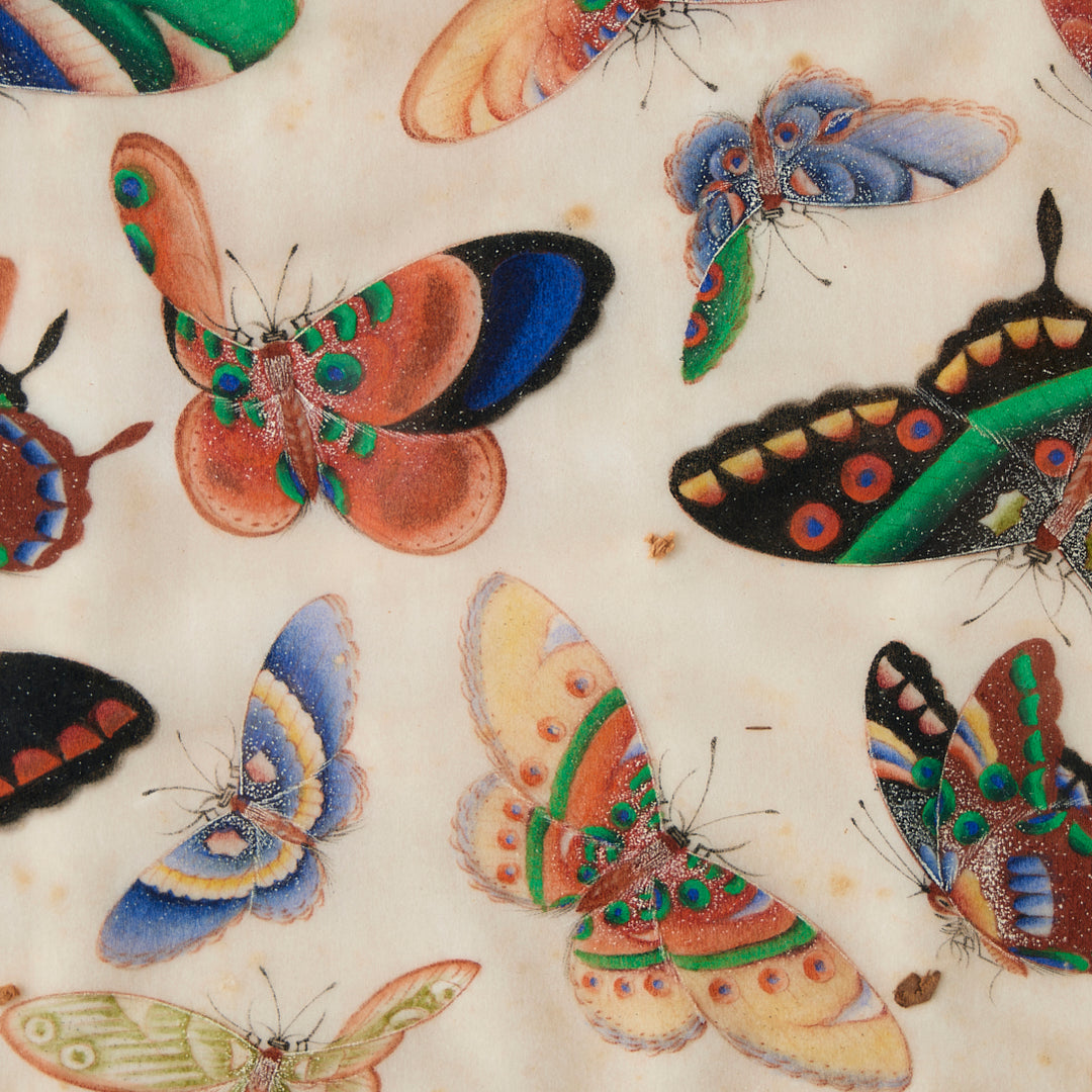 Antique Watercolor Butterfly Study, 19th Century