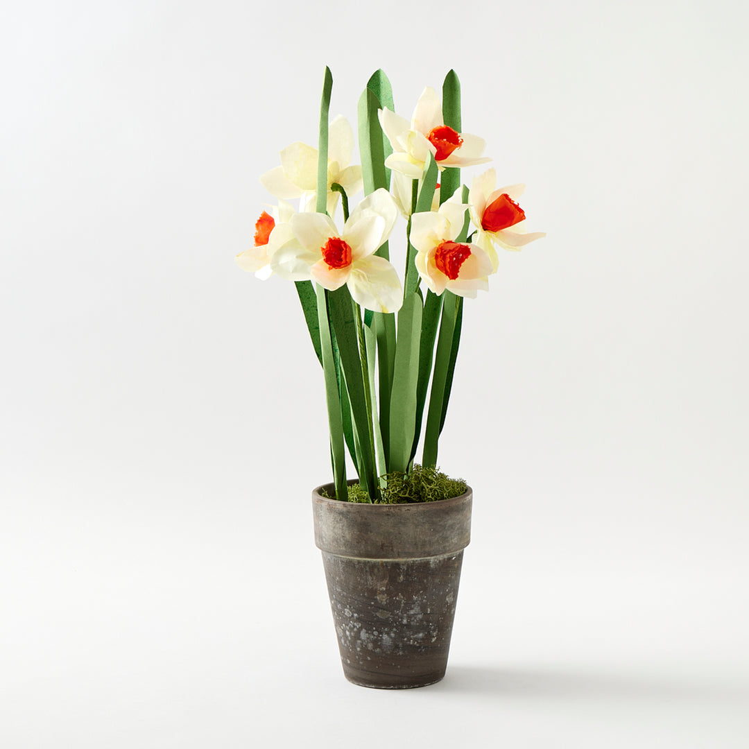 Potted Paper Daffodils