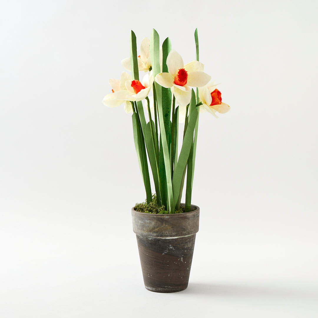 Potted Paper Daffodils