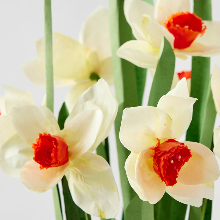 Potted Paper Daffodils