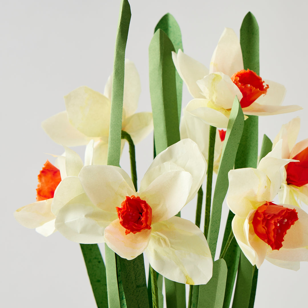 Potted Paper Daffodils