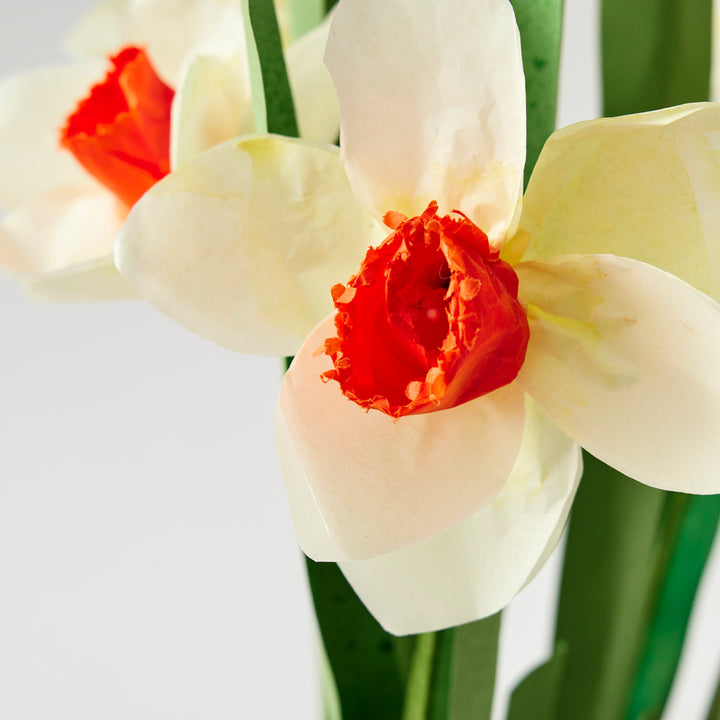 Potted Paper Daffodils
